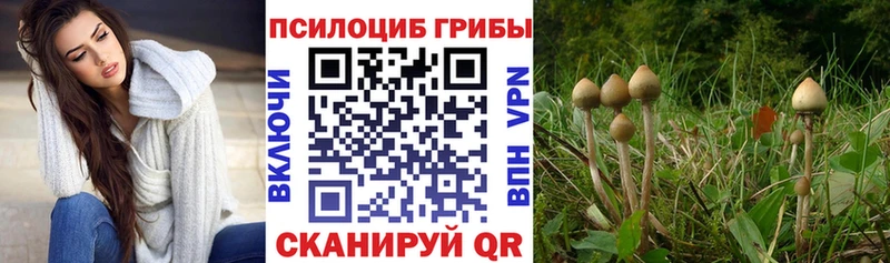 блэк спрут ССЫЛКА  Наволоки  Галлюциногенные грибы мицелий  наркотики 
