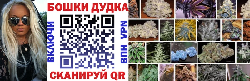 Шишки марихуана гибрид  Наволоки 
